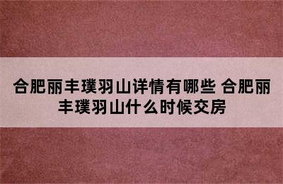 合肥丽丰璞羽山详情有哪些 合肥丽丰璞羽山什么时候交房